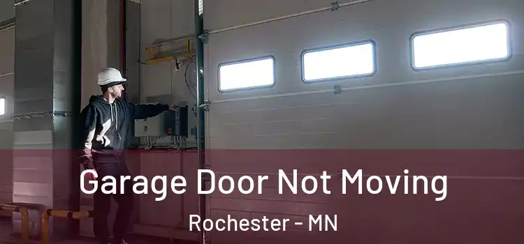  Garage Door Not Moving Rochester - MN